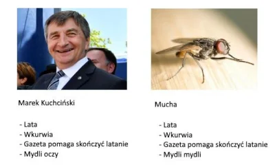 klauiel - #heheszki #bekazpisu #polityka