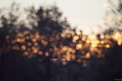 D.....n - Świetny #bokeh



#fotografia