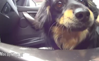 michal_glus - Szanujesz plusujesz #mocnyvlog