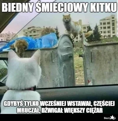 LewCyzud - #heheszki #humorobrazkowy #rozwojosobisty