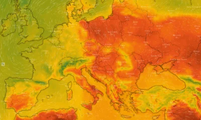 paramyksowiroza - Diabli nadali tę pogodę...
#pogoda