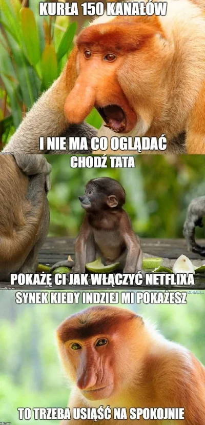 olabogaxD - #netflix #nosaczsundajski #typowyjanusz #humorobrazkowy #heheszki