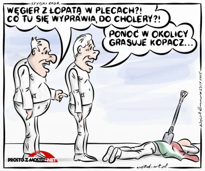 wrotek1999 - ! #smiesznyobrazek #polityka #wegry #polska #heheszki