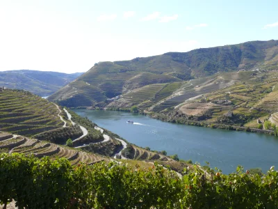 yosoymateoelfeo - Dolina rzeki Douro, region winiarski. Warto wybrać się na wycieczkę...