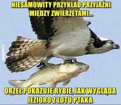 r.....k - #heheszki #humorobrazkowy