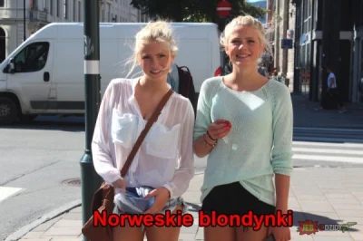 ziomeczek_ziomkowsky - #norwezki #ladnepanie