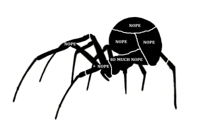 trebeter - schemat głaskania jadowitego pająka