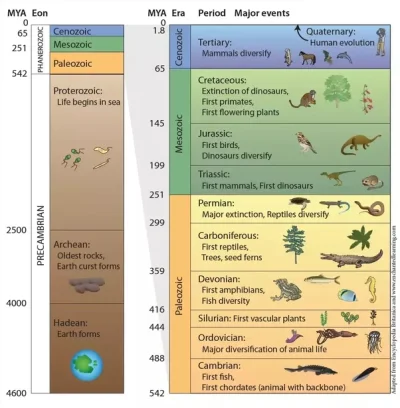 bioslawek - #nauka #geologia #ciekawostki