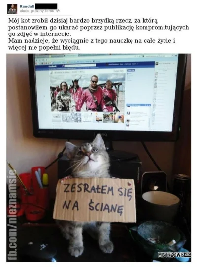 mcgoring - #koty 
#heheszki 
#zawszesmieszy
#humorobrazkowy
#humor
#gownowpis