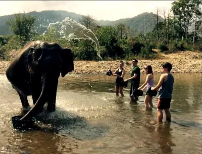 hugoprat - Woda lecąca na słonia, która również wygląda jak słoń (ʘ‿ʘ)(ʘ‿ʘ)(ʘ‿ʘ)
#ci...