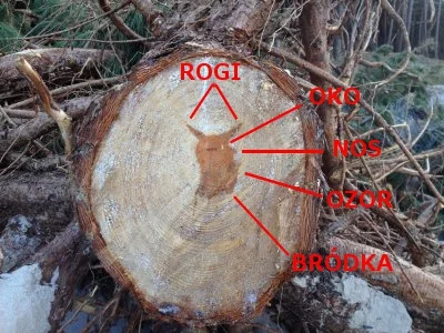 opilec - @truskawkow: