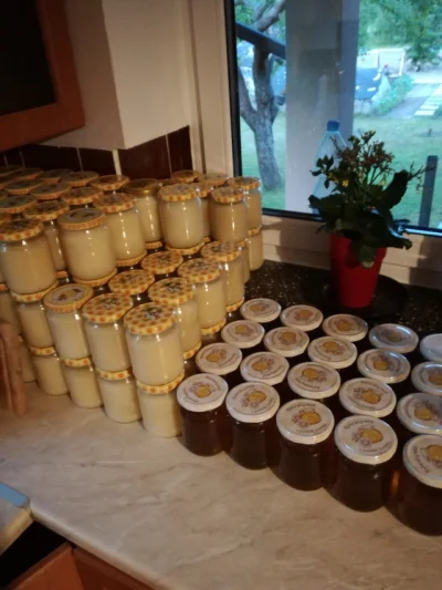 wykoszonytrawnik - Mam na sprzedaż pszczeli miód (wielokwiatowy i rzepakowy);
150 sł...