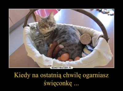 joyride - Wesołych Świąt! ( ͡° ͜ʖ ͡°)

#koty #kitku #swieta #swietawielkanocne #hum...