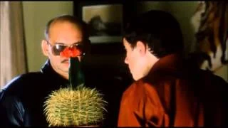 C.....y - @AnonimoweMirkoWyznania: 
A na #!$%@? mi ten kaktus?!