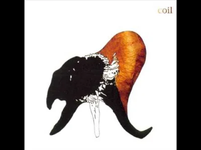s.....n - #muzyka #coil #muzykaelektroniczna 

Coil - The Wraiths and Strays of Paris...