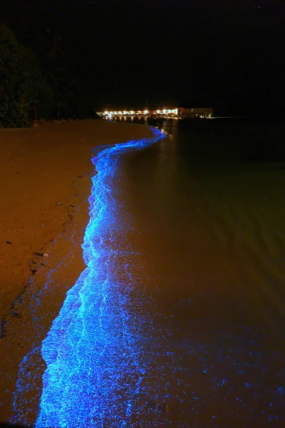 B4loco - Na pierwszy rzut oka ta plaża na wyspie Mudhdhoo w atolu Baa na Malediwach, ...