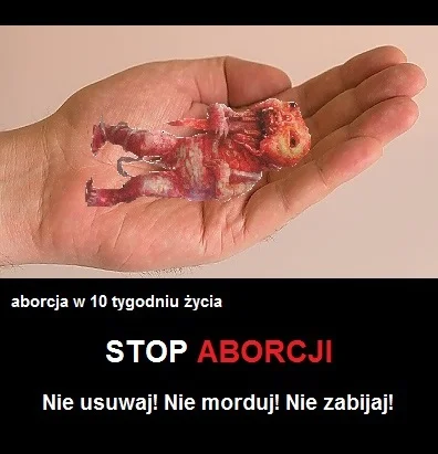 thetruthsayer69 - STOP ABORCJI

#aborcja #stop #zło #p-----c #dziecko #stopaborcji ...