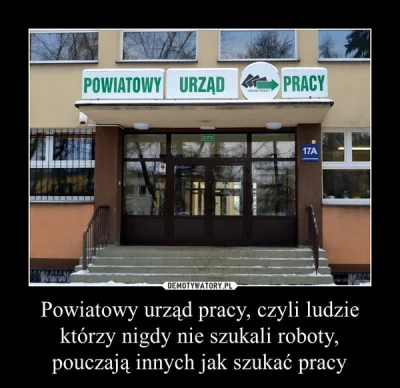 sobakan - @janusz0: dostaniesz doradztwo z Urzędu Pracy (✌ ﾟ ∀ ﾟ)☞