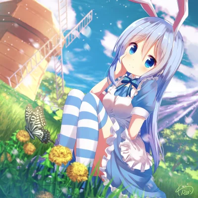 l.....f - #randomanimeshit #aliceinwonderland #gochuumonwausagidesuka #alice #chinoka...