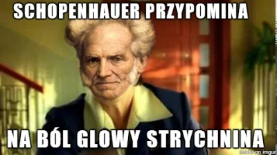 nnn - #schopenhauer przypomina