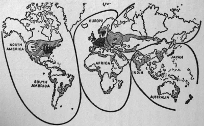 orkako - Na tym obrazku jest pokazane jak niemcy chcieli podzielić świat pomiędzy sie...