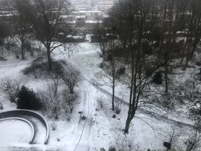 Lieutenant_Drunk - @geuze: Amsterdam melduje trzeci poziom zagrożenia