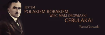 M.....z - #dmowskinadzis #marszniepodleglosci #11listopada