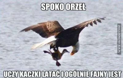 ktomapotrzymacdwiedychy - @supermoc: jajco :D Nic takiego się nie wydarzyło, co miało...