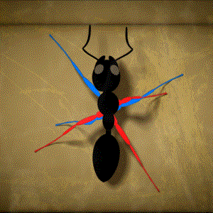 CHI77OUT - Wiesz w jaki sposób porusza sie mrówka? ;)

#weedfunny

SPOILER