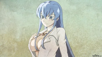 d.....g - #randomanimeshit #akamegakill #esdeath