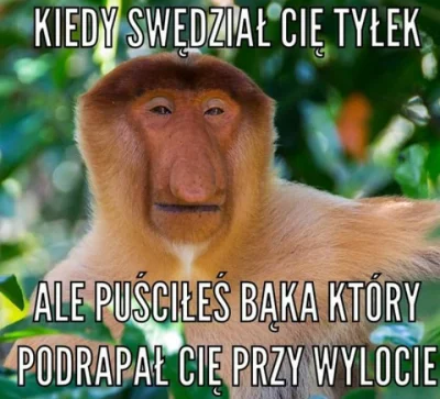 Kacci99 - Ale #!$%@?ństwo XDD
#polak #nosaczsundajski #heheszki #humorobrazkowy