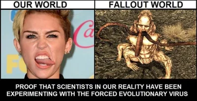 Python - #fallout #mileycyruscontent #lolcontent #humorobrazkowy #heheszki