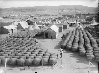 myrmekochoria - Zapasy wina francuskiej siły ekspedycyjnej pod Gallipoli, 1915 rok.
...