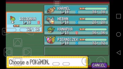 M.....e - #pokemirko #pokemonymiltona

Mój team w Sapphire, kogo mógłbym dodać?