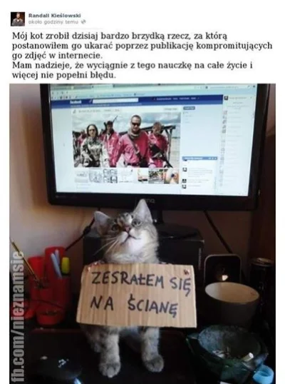 bet365 - #heheszki #koty #facebook 

#humorobrazkowy