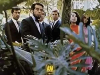 DajMinusTemuNaDole - Sergio Mendes Brasil '66 - For What It's Worth

 Think it's tim...