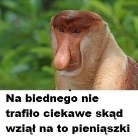 dwapalcewnatalce - Zakop na biednego nie trafiło jak takie interere robi