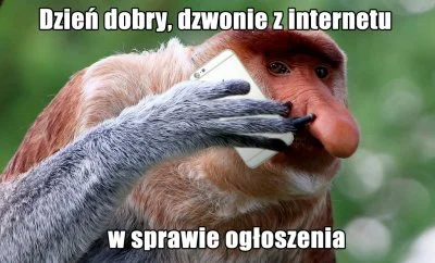 popik3 - Sklepy zamknięte? Cóż, pozostaje Internet...

Dzisiaj 9/100

#stonosaczy...