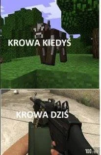 R.....e - #nolife #gry #minecraft #csgo #humorobrazkowy