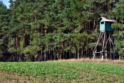 MondryPajonk - Pamiętam swoje pierwsze wagary, było to w podstawówce w 6 klasie, posz...