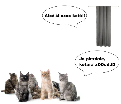 L.....t - popełniłem #meme
#kotki #koty #kotara #kociara #hehszki #meme