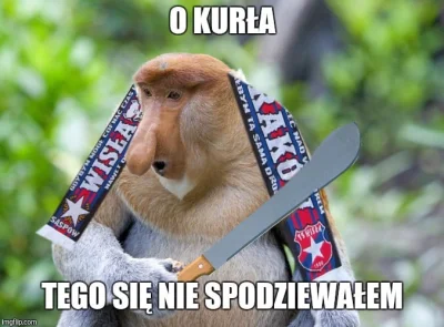 j.....d - ta cała afera jest tak zabawna, że nie mogę xDDDD