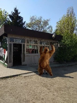 FPNgda - Polecam bar piwny przy pętli tramwajowej w Oliwie. Ta i inne najlepsze knajp...