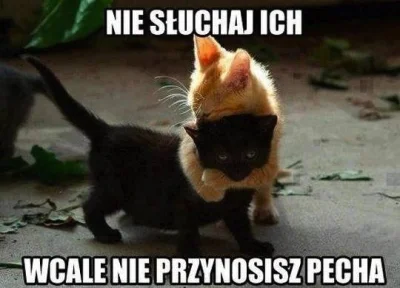 T.....i - #koty #humorobrazkowy #szczescie #humor #dziendobry