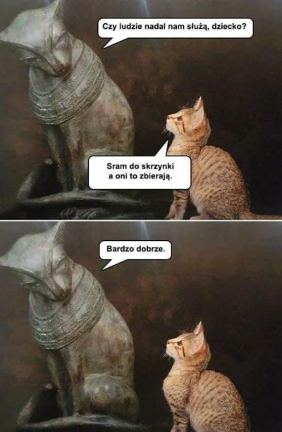 supi - #koty #humorobrazkowy