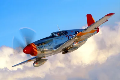 Magnolia-Fan - #aircraftboners #iiwojnaswiatowa #p51 #mustang