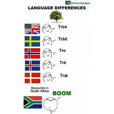 dwiekatedry - Afrikaans idzie swoją drogą:) Porównanie słowa "drzewo" w językach germ...