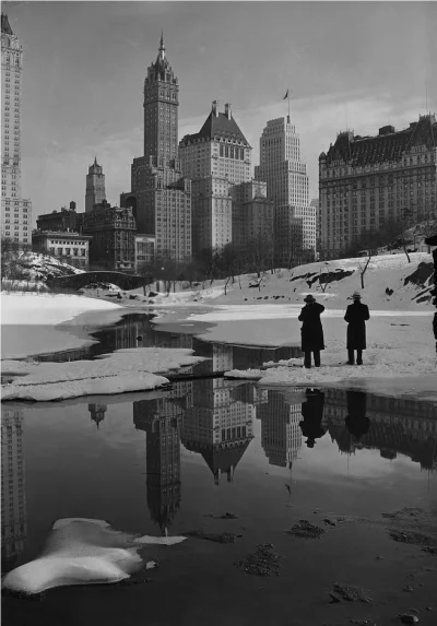 dzika-konieckropka - Nowy Jork 1933 
fot. Samuel Gottscho
#fotografia #nowyjork #no...