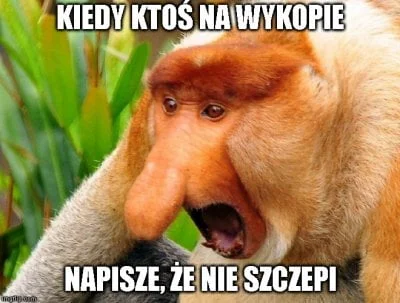 RozzuchwalonyAntyszczepionkowiec - #heheszki #humorobrazkowy #nosaczsundajski #nosacz...