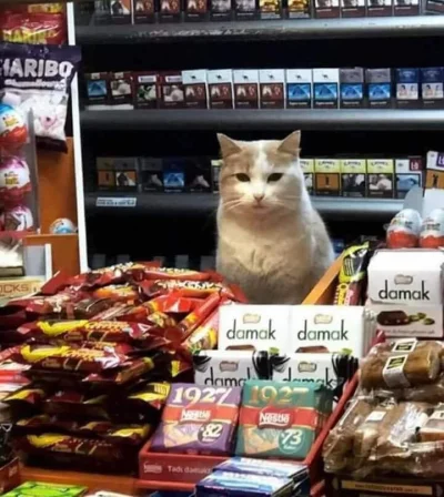 zaxcer - - Khajiit has wares, if you have coin...

#gry #skyrim